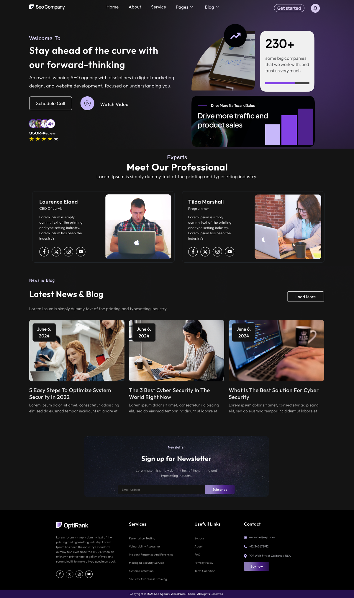 Free SEO Company WordPress Theme