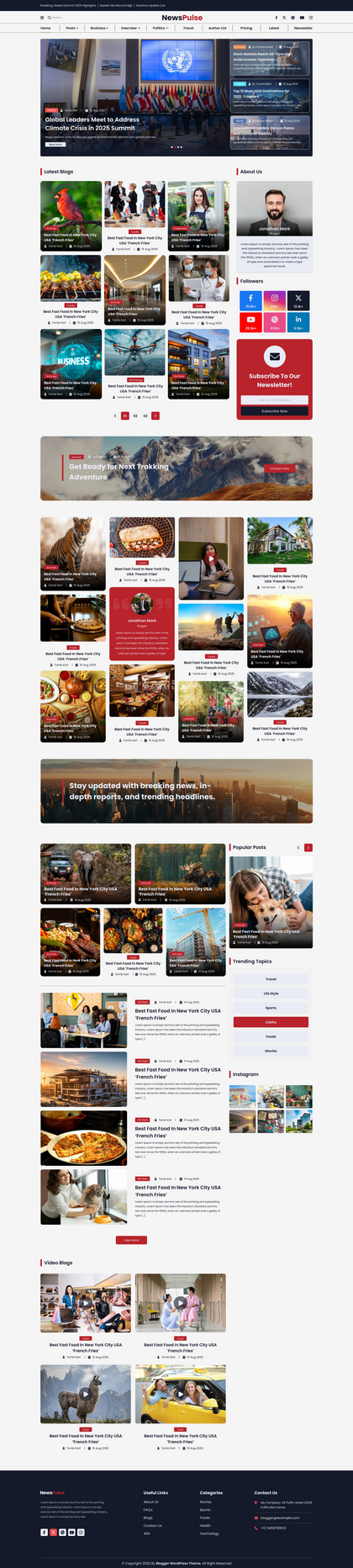 Magazine WordPress Theme